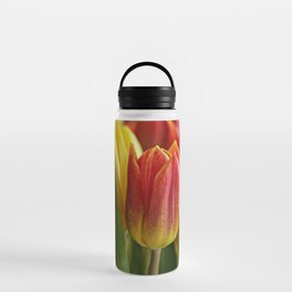 Red and Yellow Tulips Water Bottle