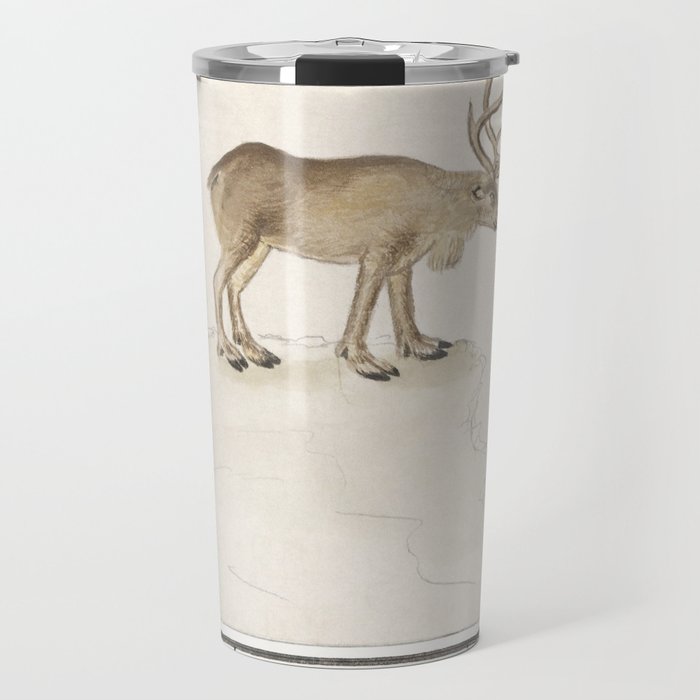 Reindeer, Rangifer tarandus  Travel Mug