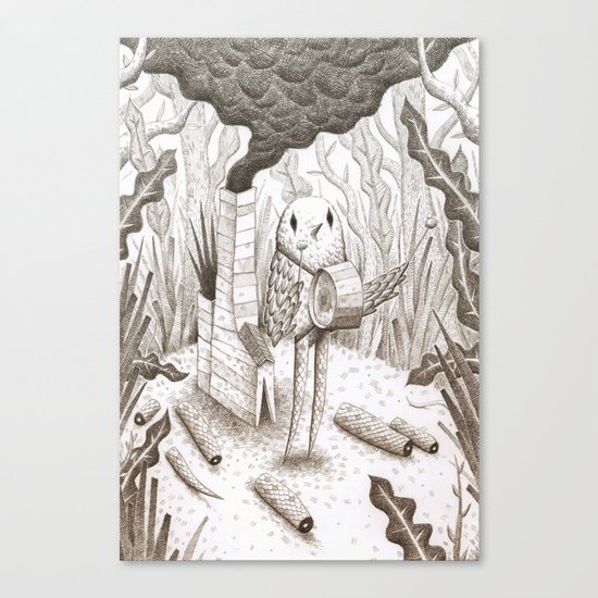 Drummer Bird Canvas Print