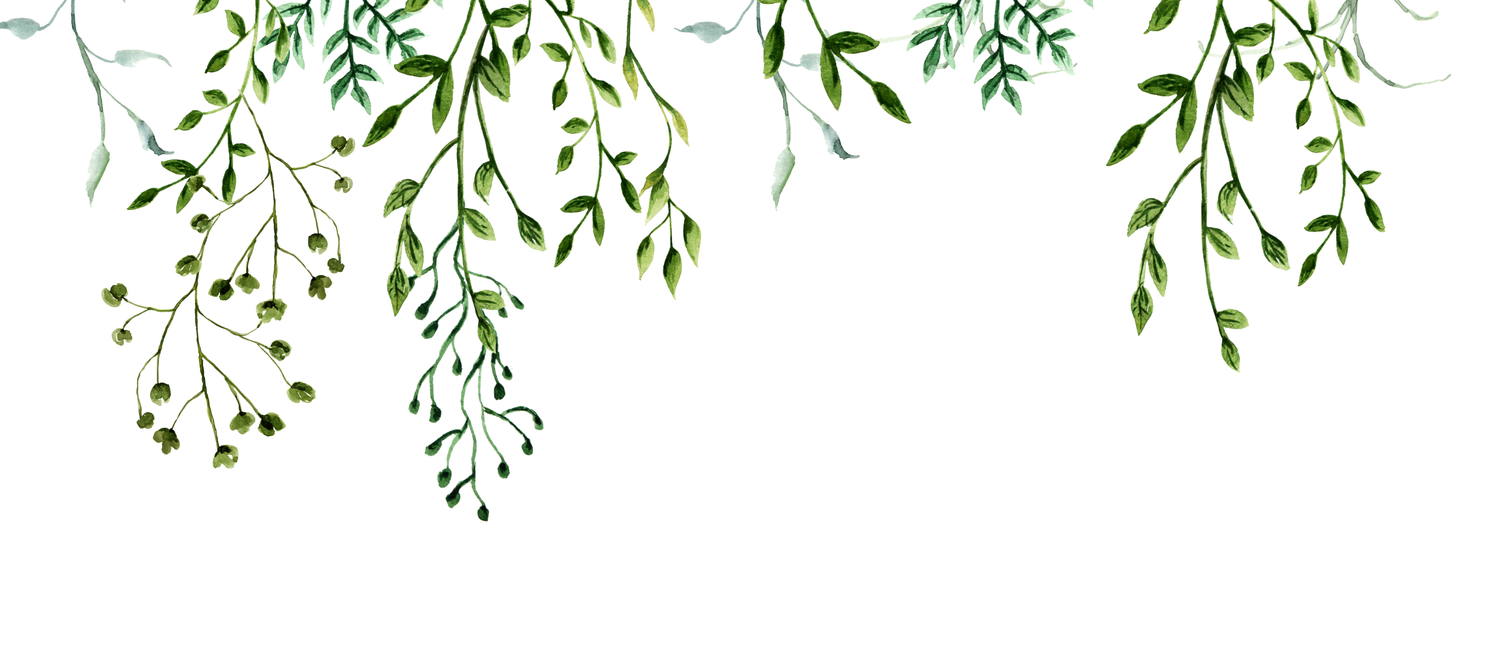 Vines Png Leaf Watercolor Vines Google Search