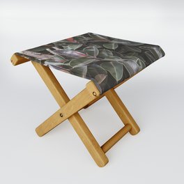 Vintage Ficus  |  The Houseplant Collection Folding Stool