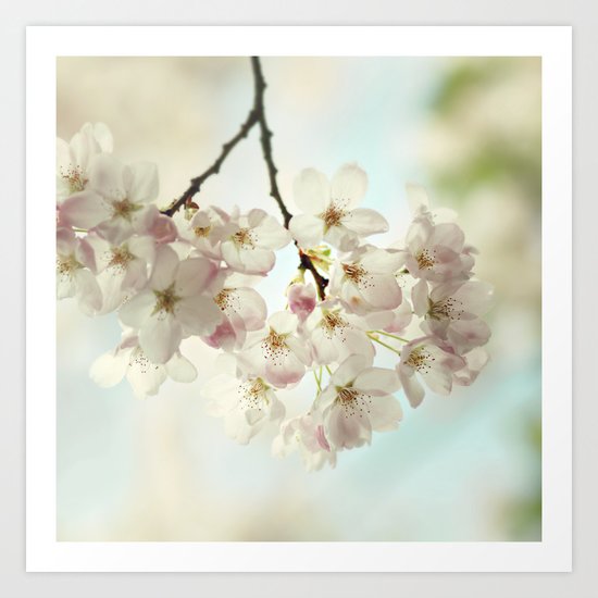 spring light Art Print