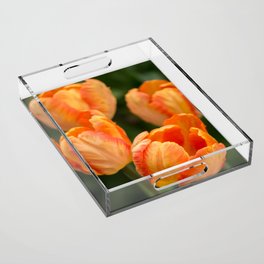 Four Brilliant Tulips Acrylic Tray