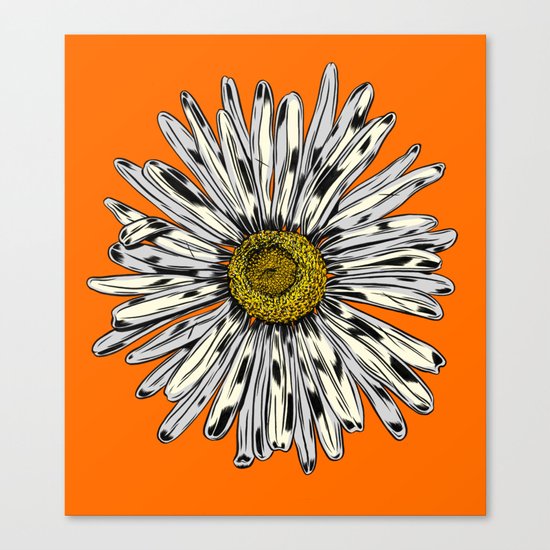 Daisy Canvas Print