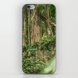 Brazil Photography - Tall Tropical Trees In The Rain Forest iPhone Skin