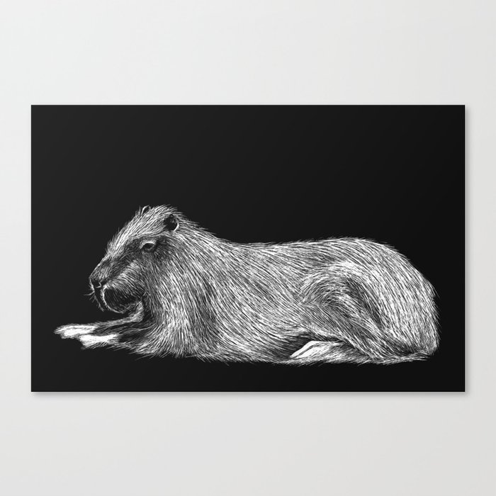 Capybara Canvas Print