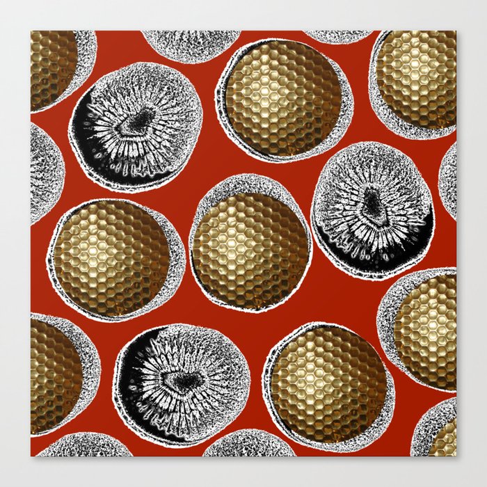RED, WHITE & GOLD Canvas Print