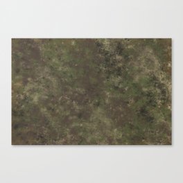 military camouflage Canvas Print