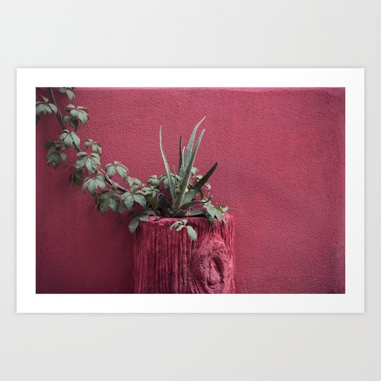 Pink and plant Art Print