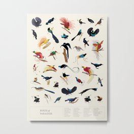 Birds-of-Paradise Poster Metal Print | Illustration, Animal, Nature 