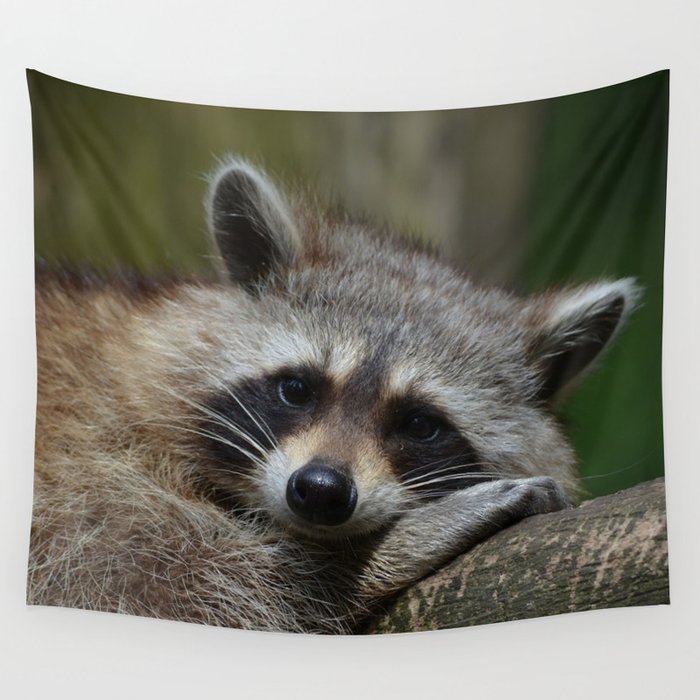 Raccoon tapestry store