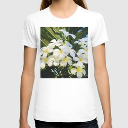 Tropical Plumeria Flowers In Soft Sunlight And Shadows T Shirt