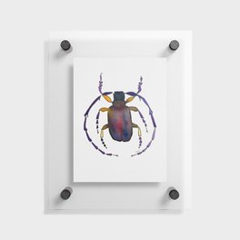 beetle bug insect Floating Acrylic Print