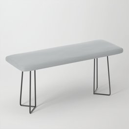 Dusky Dolphin Gray Bench