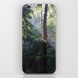 Hemlock Forest iPhone Skin