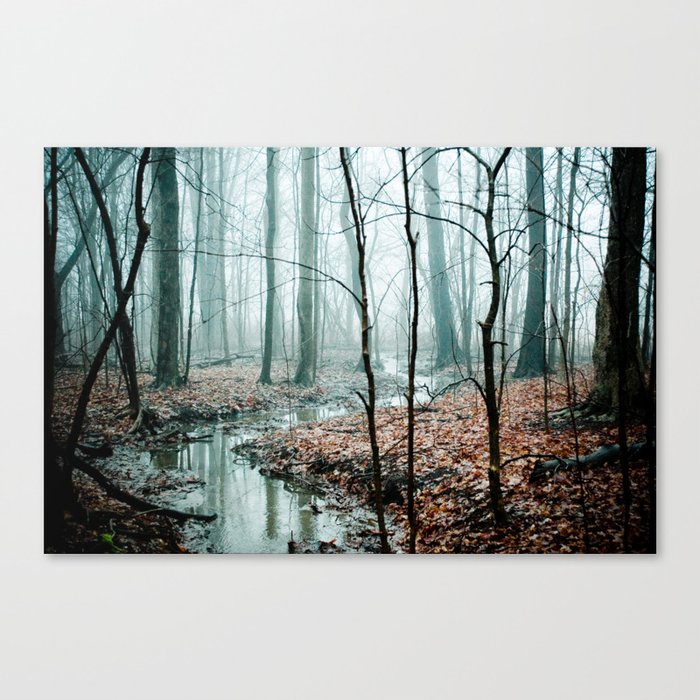 Gather up Your Dreams Canvas Print