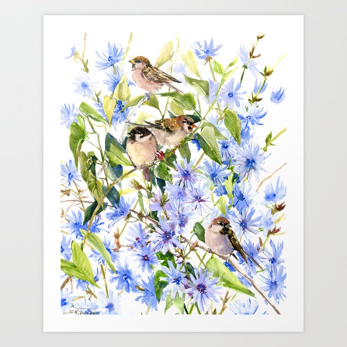 Sparrows and Chicory Flowers Art Print