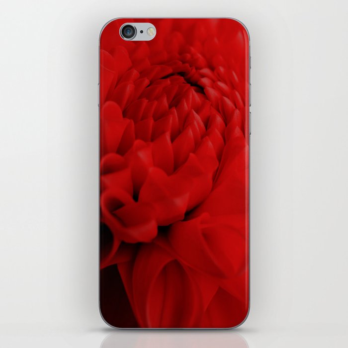Innuendo Red Dahlia Macro iPhone Skin