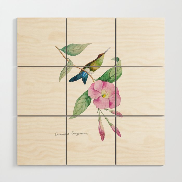 Hummingbird with blue tail Wood Wall Art