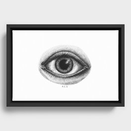The Omniscient Eye Framed Canvas
