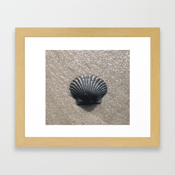 Seashell Framed Art Print