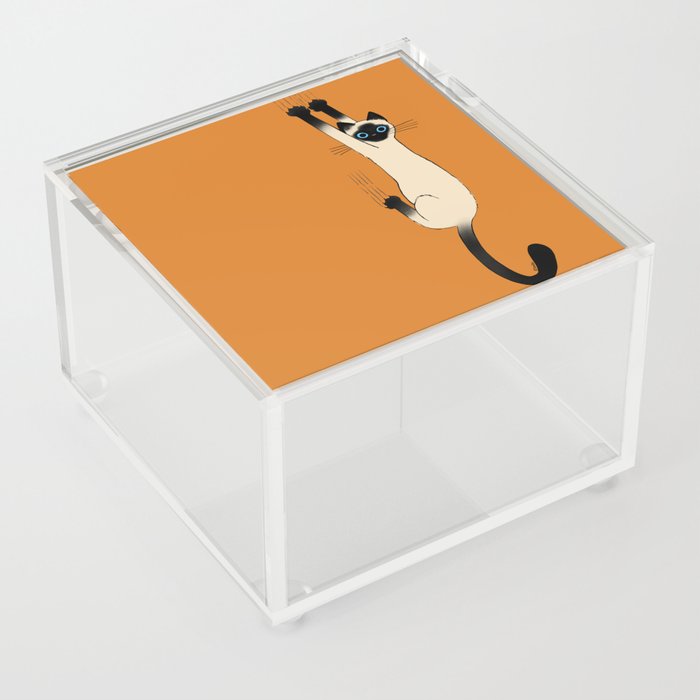 Siamese Cat Hanging On Acrylic Box
