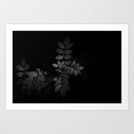 B&W growth Art Print