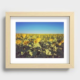 Sunflowers  Recessed Framed Print