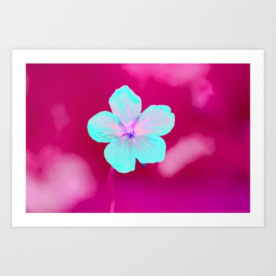Colorful Flower #1 Art Print