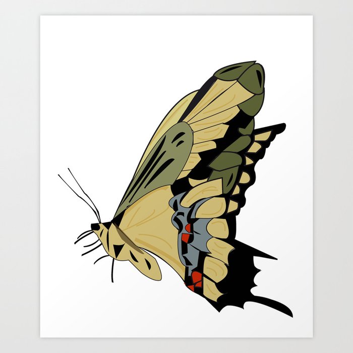 Beautyful Butterfly Art Print