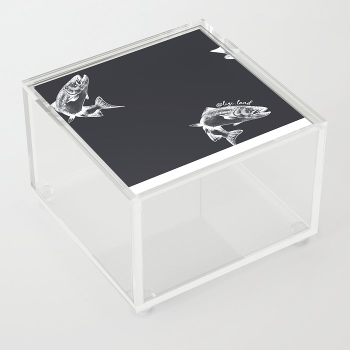 truchas negras Acrylic Box