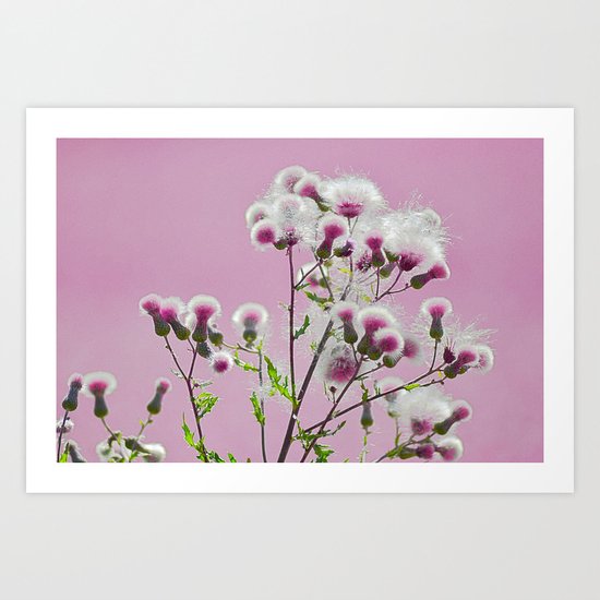 #116 Art Print