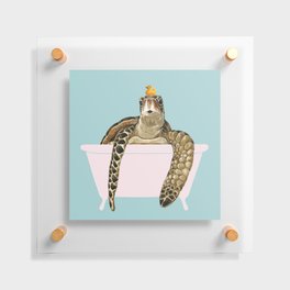 Sea Turtle in Bathtub Floating Acrylic Print