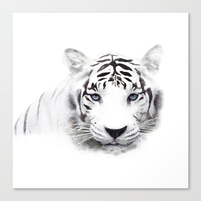 White tiger Canvas Print