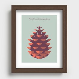 Pine Cone Mint Recessed Framed Print