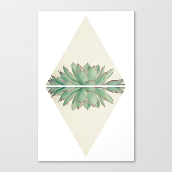 Echeveria II Canvas Print