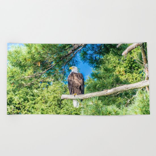 Bird of Prey Beach Towel