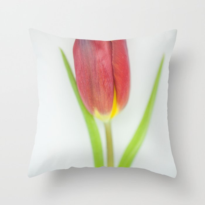 radiant_beauty_01 Throw Pillow