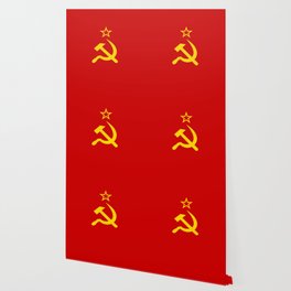 Russian Flag Wallpaper For Any Decor Style Society6