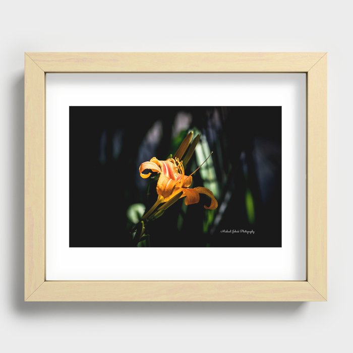 July Dragon Lily Recessed Framed Print