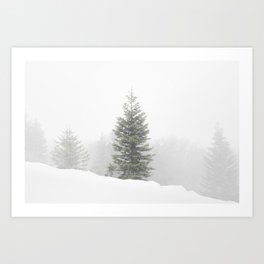 Winter Pine Tree Art Print