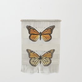 Monarch Butterfly | Monarch Butterflies | Moths and Butterflies of the United States | Vintage Butterflies |  Wall Hanging