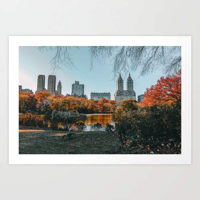 Autumn Fall in Central Park in New York City Art Print