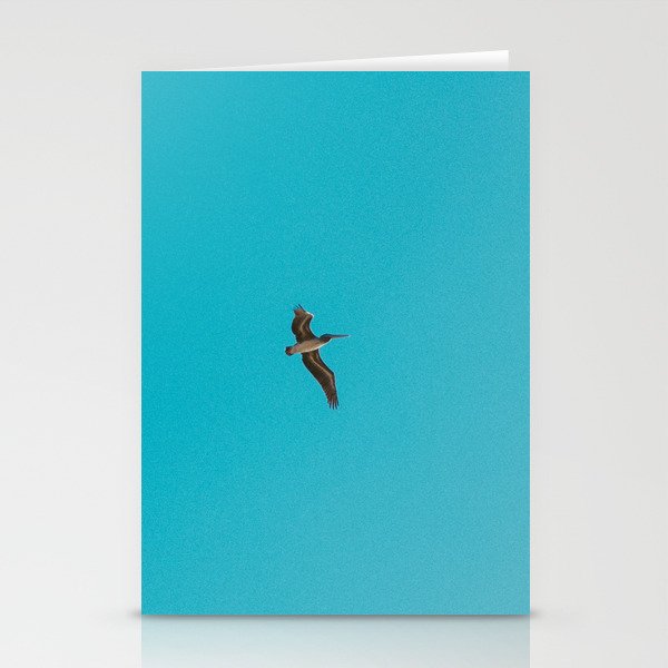 Pelicans Flying Stationery Cards