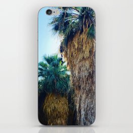 Coachella Palms iPhone Skin