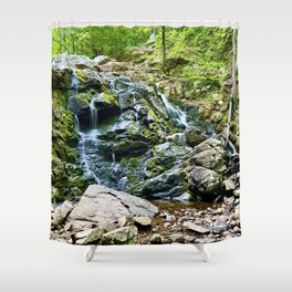 Waterfall in the Valley Shower Curtain