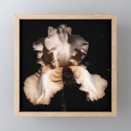 Iris Flower III Framed Mini Art Print