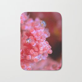 Ladybug amphipods on pink coral Bath Mat