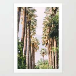 Palm Trees Alley - Tropical Summer Vacation - Fine Art Photography Art Print