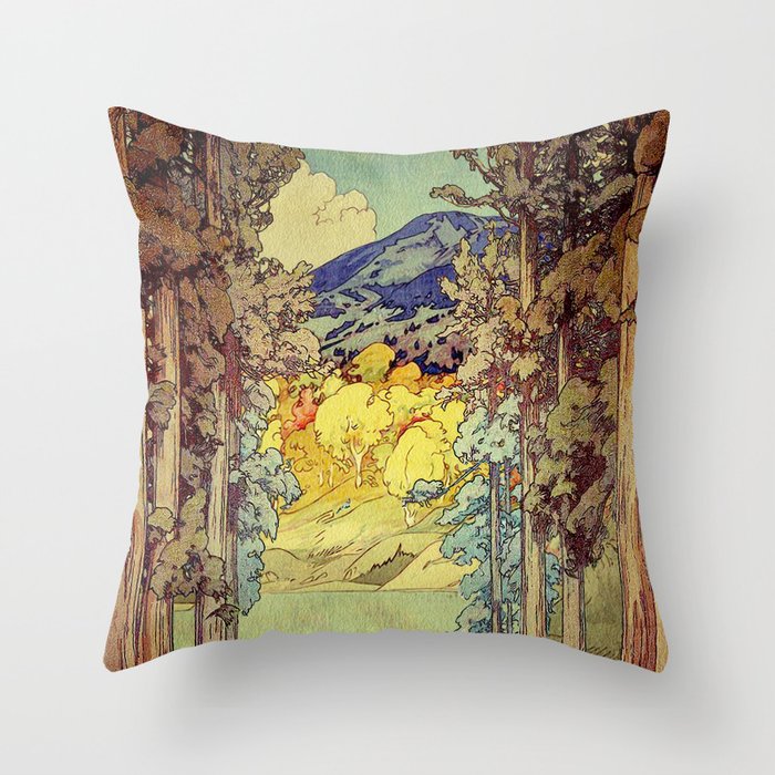Throw Pillow